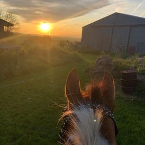 Meet your Posher, Melyssa